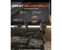 Тренажеры силовые нагружаемые дисками + Тренажер для сгибания-разгибания ног DFC D030A