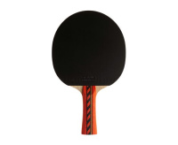 Ракетки для настольного тенниса + Ракетка DONIC Testra OFF