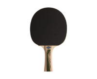 Ракетки для настольного тенниса + Ракетка DONIC LEGENDS 400