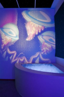 Световые проекторы для сенсорных комнат + Колесо спецэффектов «твердое»