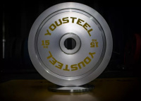 Диски с посадочным диаметром 51 мм + Хромированные стальные диски