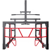 Силовые рамы + Силовая рама DFC Fitness Reality 2822