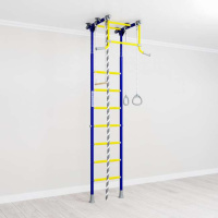 Шведские стенки + ДСКМ "Romana R2" (01.20.7.06.490.02.00-11) синяя слива