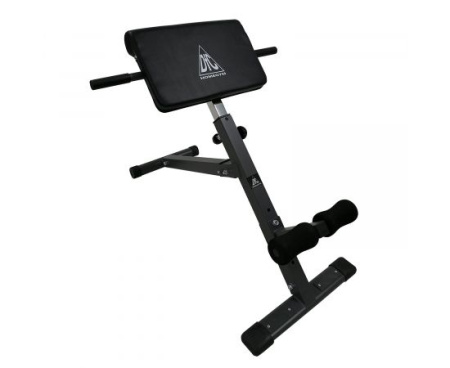 Гиперэкстензия + Гиперэкстензия DFC Homegym SJ1007