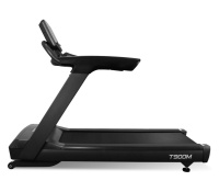 Беговые дорожки + BRONZE GYM T900M Беговая дорожка