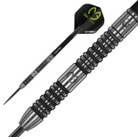 Дротики + Чемпионские дротики Winmau Michael van Gerwen Absolute steeltip 23gr (профессиональный уровень)