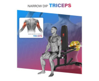 Тренажеры силовые нагружаемые дисками + Тренажер для Трицепса DFC D2003A