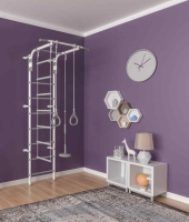 Детские спортивные комплексы для дачи + ДСК "Формула здоровья" "Pastel 2" белый/серый