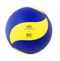Волейбольные мячи + Мяч волейбольный Larsen VB-ECE-5000Y