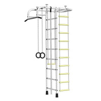 Шведские стенки + ДСК "Пионер АМ"