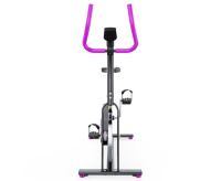 Спин-байки + Спин-байк DFC WeR Sports PSP-BIK-108 чёрно-розовый