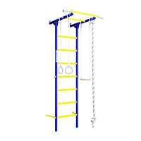 Шведские стенки + ДСКМ "Romana S1" (01.21.7.06.490.05.00-13) синяя слива