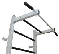 Шведские стенки + Шведская стенка 250