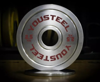 Диски с посадочным диаметром 51 мм + Хромированные стальные диски