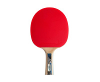 Ракетки для настольного тенниса + Ракетка DONIC LEGENDS 1000