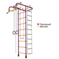 Шведские стенки + ДСК "Пионер АМ"