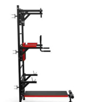 Шведские стенки + Шведская стенка с опциями DFC Lite VT-6005 / профиль 1,5 мм