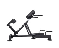 Гиперэкстензия + Гиперэкстензия / римский стул DFC MAXXUS