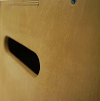 Функциональный тренинг + Плиобокс 75*60*50 BRONZE GYM PARTNER FL-13