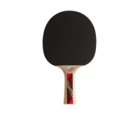 Ракетки для настольного тенниса + Ракетка DONIC LEGENDS 600