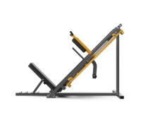 Тренажеры силовые нагружаемые дисками + Жим ногами STONERISE DLP02