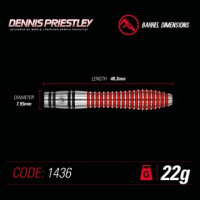 Дротики + Чемпионские дротики Winmau Dennis Priestly steeltip 22gr (профессиональный уровень)