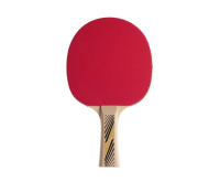 Ракетки для настольного тенниса + Ракетка DONIC LEGENDS 300