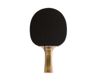 Ракетки для настольного тенниса + Ракетка DONIC LEGENDS 500