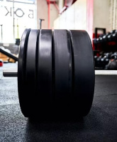 Диски с посадочным диаметром 51 мм + Диски каучуковые EVO, черные