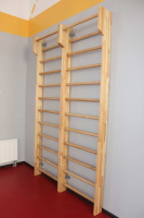 Шведские стенки + Стенка шведская с верхней выступающей перекладиной (с турником)