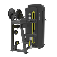 BRONZE GYM BW-3005 Дельта-машина