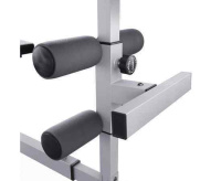 Гиперэкстензия + Гиперэкстензия / римский стул DFC CAP, серебряный