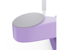 Ролики, упоры для отжиманий + Тренажёр для пресса AB Roller SND-P фиолетовый с ковриком 34 х 17 x 0.6 cм