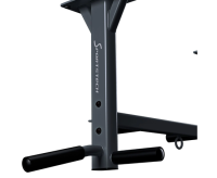 Турники + Турник потолочный DFC SPORTSTECH KS400