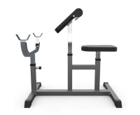 Скамьи + Скамья Скотта DFC Homegym UB009G серый
