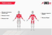 Турники + Турник многофункциональный UNIX Fit PULL UP 120P