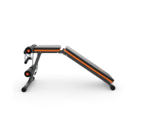 Скамьи + Cкамья силовая универсальная DFC с эспандерами DCH310