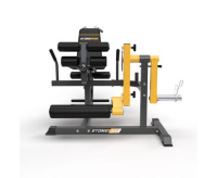 Тренажеры силовые нагружаемые дисками + Тренажер для сгибания-разгибания ног STONERISE DTrainer