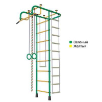 Шведские стенки + ДСК "Пионер АМ"