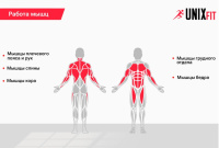 Турники + Турник настенный 3 в 1 UNIX Fit PULL UP 200