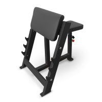 BRONZE GYM  AL-303 Скамья Скотта