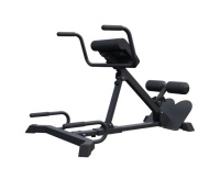 Гиперэкстензия + Гиперэкстензия / римский стул DFC MAXXUS GSMX-600417-00019-0001