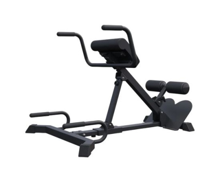 Гиперэкстензия + Гиперэкстензия / римский стул DFC MAXXUS GSMX-600417-00019-0001