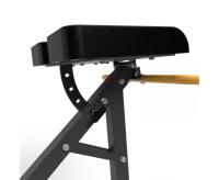 Гиперэкстензия + Гиперэкстензия STONERISE HypeRise