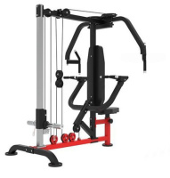 Тренажеры силовые нагружаемые дисками + Тренажер для трицепса, сведение/разведение рук DFC STONERISE D2042