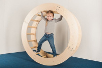 Физкультурно-развивающее + Колесо-трансформер