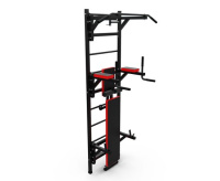 Шведские стенки + Шведская стенка с опциями DFC Lite VT-6005