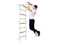 Шведские стенки + Шведская стенка Профи