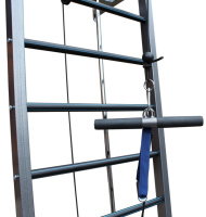 Шведские стенки + Реабилитация PRO-T на свободных весах