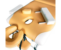 Массажные столы + Массажный стол DFC NIRVANA Elegant PREMIUM, цвет оранжево-бежевый